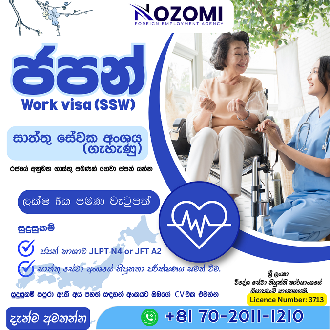 Japan Work Visa Nozomi