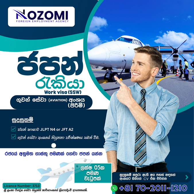 Japan Work Visa Nozomi