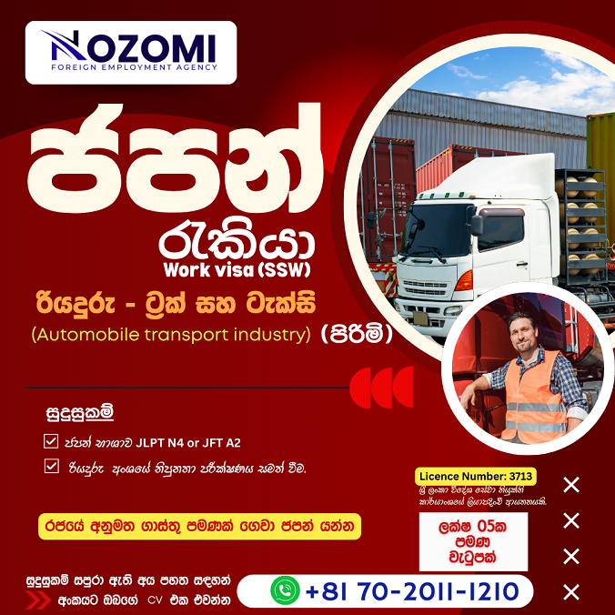 Japan Work Visa Nozomi