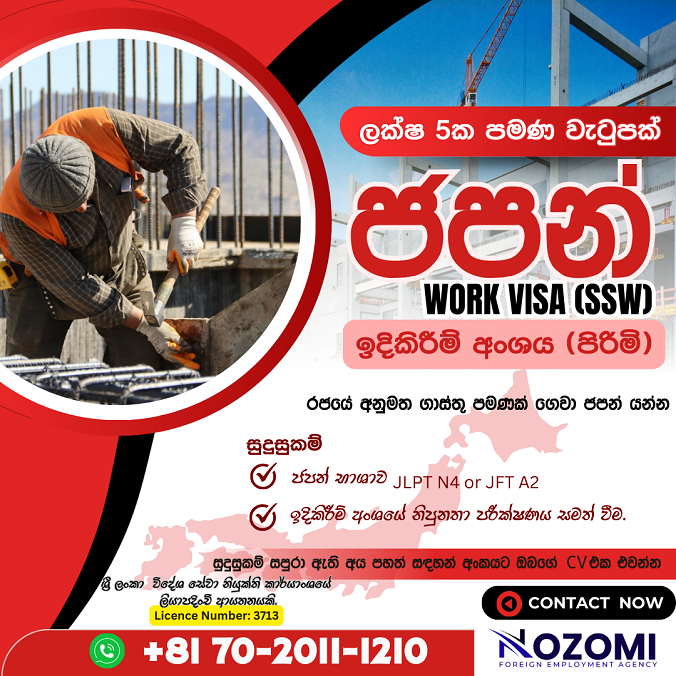 Japan Work Visa Nozomi